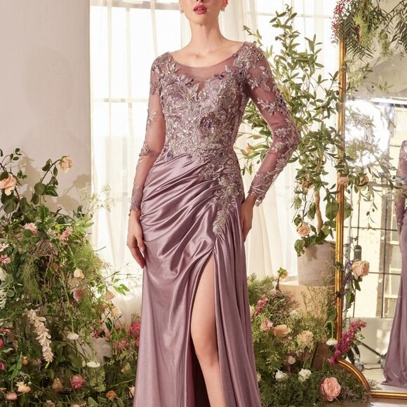 Long Sleeve formal of the dusty